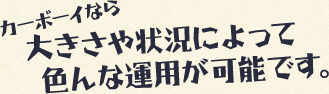 カーボーイなら大きさや状況によって 色んな運用が可能です。